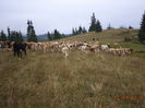 DSC00200