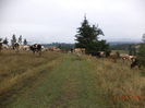DSC00201