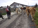 Spre Stana in graba-7
