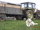 Balan langa Tractor