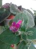 20150906_165437