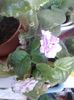 20150906_165452