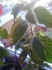 20150906_165532