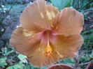 P1240036