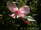 P1240040