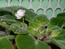 DSCN7738