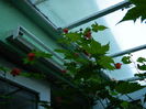 DSCN7741