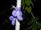 DSCN7776