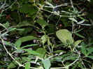 DSCN7792