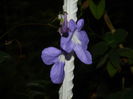 DSCN7808