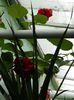 DSCN7812