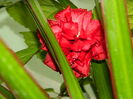 DSCN7819