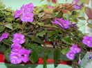 DSCN7827