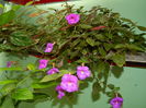 DSCN7829
