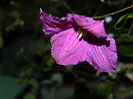 DSCN7836