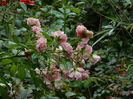 DSCN7840