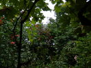 DSCN7857