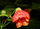 DSCN7893