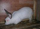 SANY0044
