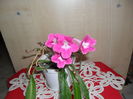 SAM_1445