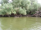SAM_1324