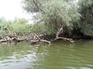 SAM_1326
