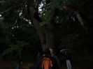 SAM_1345