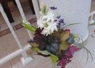 heuchera,hakonekloa,carex,levantica