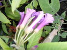 SAM_9985