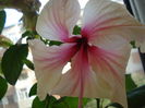 DSC00250