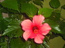 DSCF0027