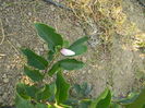DSCN6149