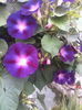 IMG_20150818_104218