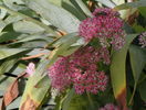 15 sept 057