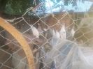 IMG_20150915_193002