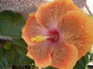 P1240086