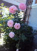 DSC06200