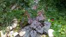WP_20150730_115