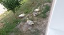 20150709_172139