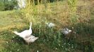 20150803_090837