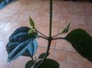 20150917_110225