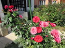 17 sept, Out of Rosenheim