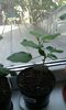IMG-20150917-WA0029