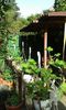 IMG-20150917-WA0036