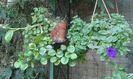IMG-20150917-WA0046