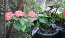 IMG-20150917-WA0044