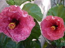 P1240113