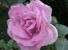 DSC03094