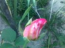 040920152633
