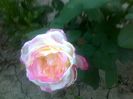 040920152634